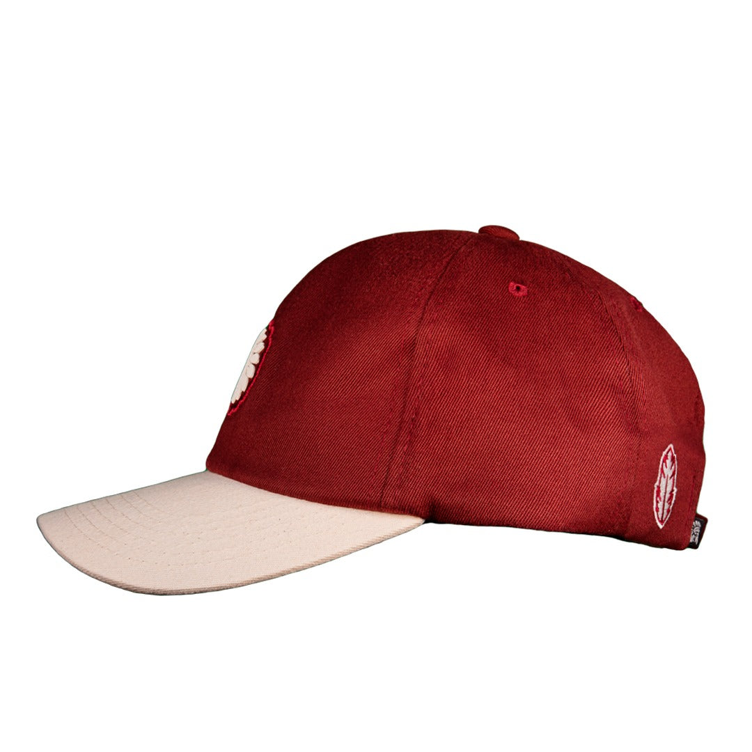 Boné Dad Hat Board - RED 1475